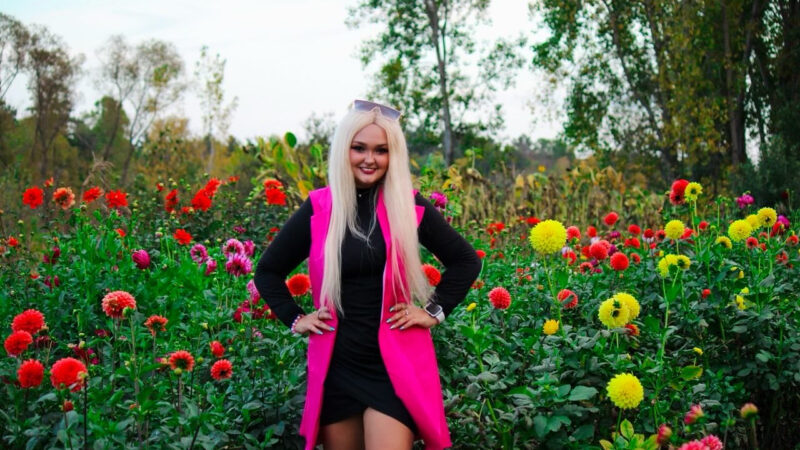 BE0DE1BA-9425-4DD7-B019-1A018333580A