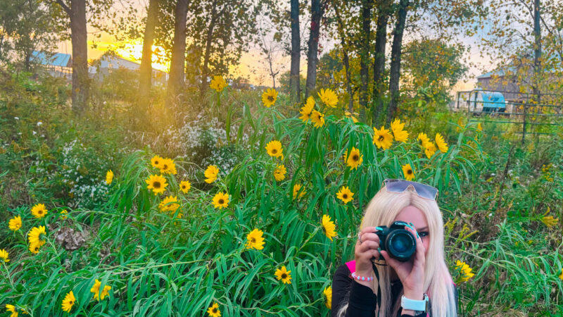 F3A83B68-A906-4B16-9548-43FAF5B16280